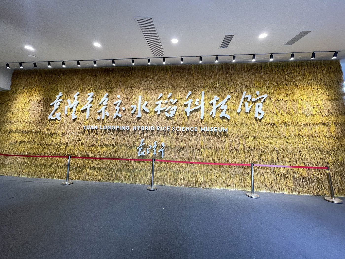香港六宝典资料大全